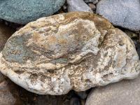 Bräunlichweißer Stein mit Erhebungen und Vertiefungen